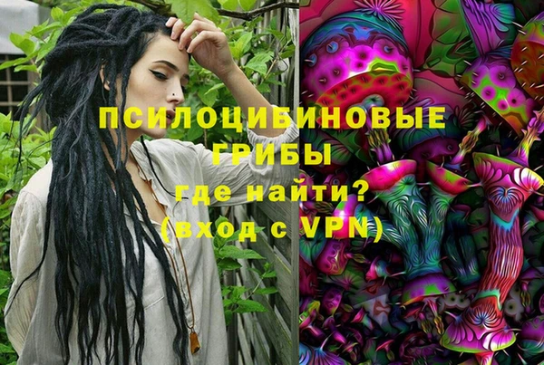 а пвп мука Кодинск