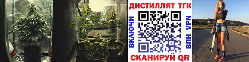 Купить где  Бутурлиновка  Дистиллят ТГК вейп 